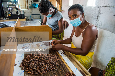 Women extracting chocolate from the cocoa beans, Plantation Roca Monte Cafe, Sao Tome, Sao Tome and Principe, Atlantic Ocean, Africa