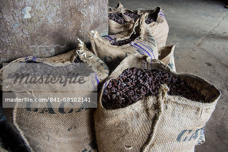 Bags full of cocoa beans, Cocoa plantation Roca Aguaize, East coast of Sao Tome, Sao Tome and Principe, Atlantic Ocean, Africa