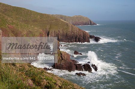 View to Old Castle Head, near Manorbier, Pembrokeshire Coast National Park, Pembrokeshire, Wales, United Kingdom, Europe