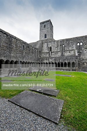 Sligo Abbey (Mainistir Shligigh), Sligo, Republic of Ireland