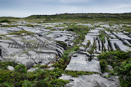 Rocky, limestone landscape, Aran Islands, Republic of Ireland