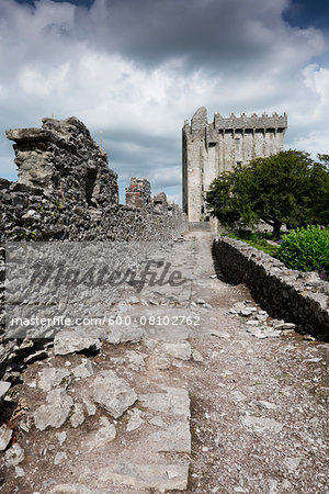 Blarney Castle, County Cork, Republic of Ireland Blarney Castle, County Cork, Republic of Ireland