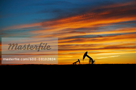 Pump Jacks in Oilfield, Saskatchewan, Canada