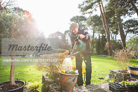 Senior man watering flowers in garden, Bournemouth, County Dorset, UK, Europe