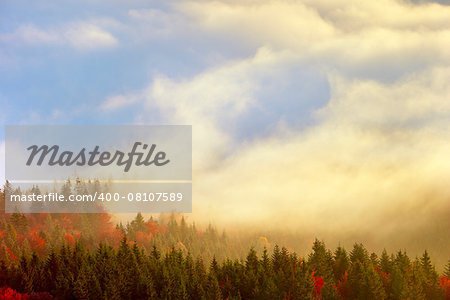 Autumn forest and yellow fog