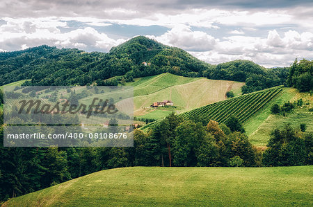 Landscape in Southern Styria with some Vineyards