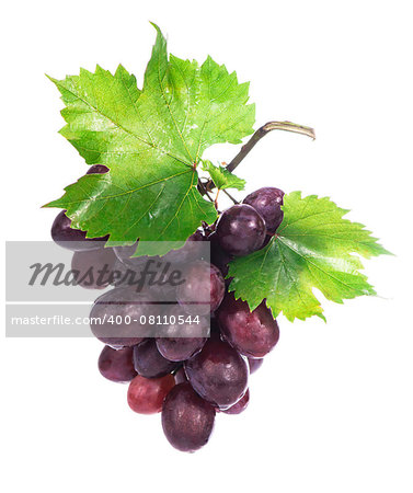 grapes bunch isolated on the white background