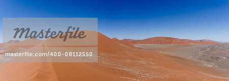 wide panorama of Dune 45 in sossusvlei Namibia, view from the top of a dune, best place in namibia