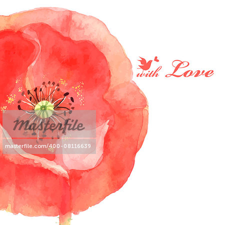 very beautiful flower poppy love bird, beautiful vector illustration