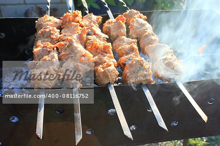 Shashlick laying on the grill close up