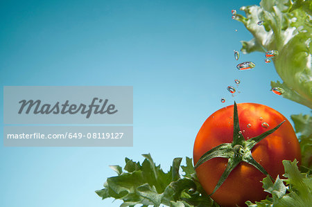 Tomato and lettuce underwater