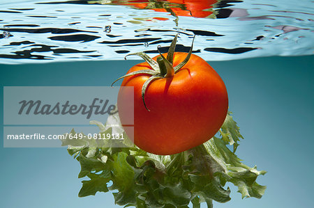 Tomato and lettuce underwater