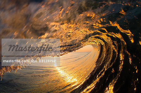 Barrelling wave, sunset, Hawaii, USA