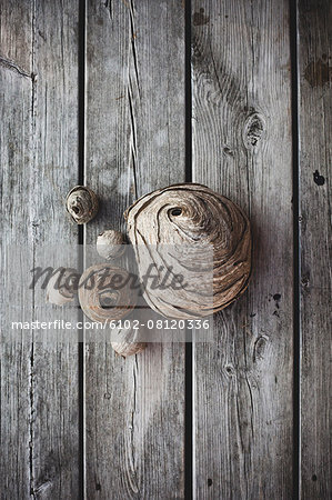 Dried decorations on wooden background