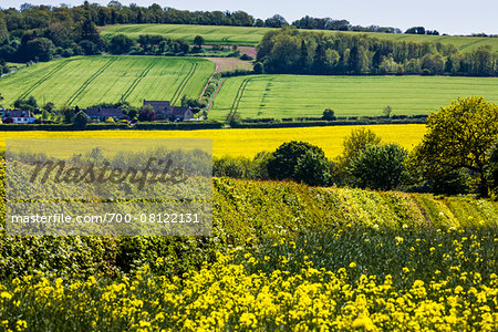Farmland and countryside, Lower Slaughter, Gloucestershire, The Cotswolds, England, United Kingdom Farmland and countryside, Lower Slaughter, Gloucestershire, The Cotswolds, England, United Kingdom