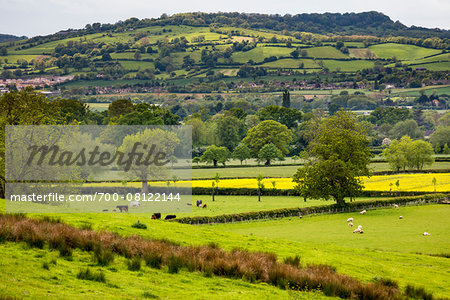 Farmland and countryside, Stanway, Gloucestershire, The Cotswolds, England, United Kingdom Farmland and countryside, Stanway, Gloucestershire, The Cotswolds, England, United Kingdom