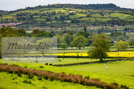 Farmland and countryside, Stanway, Gloucestershire, The Cotswolds, England, United Kingdom