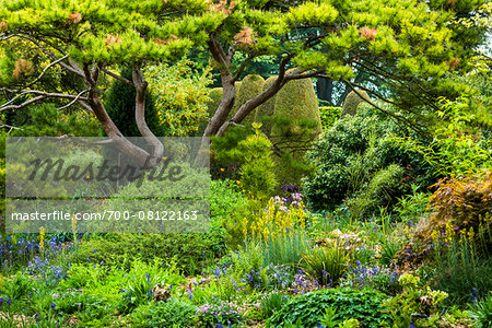 Hidcote Manor Garden, Hidcote Bartrim, near Chipping Campden, Gloucestershire, The Cotswolds, England, United Kingdom