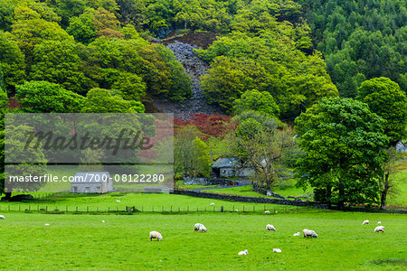 Farmland near Bala, Gwynedd, Wales, United Kingdom Farmland near Bala, Gwynedd, Wales, United Kingdom