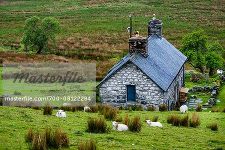 Farmland near Llanuwchllyn, Gwynedd, Wales, United Kingdom