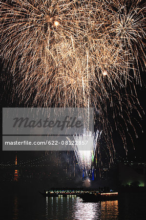 Fireworks in Odaiba bay, Tokyo, Japan