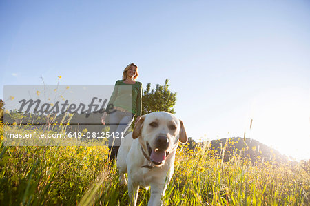 Mature woman walking labrador retriever in sunlit wildflower meadow