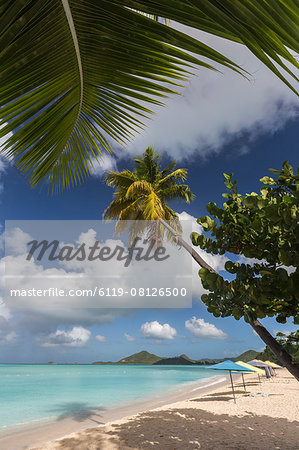 The branches of the palm trees create shade on the beach of Valley Church located on the West coast of Antigua, Leeward Islands, West Indies, Caribbean, Central America