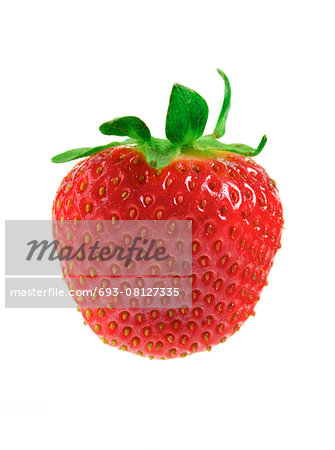 Studio shot of strawberries on white background