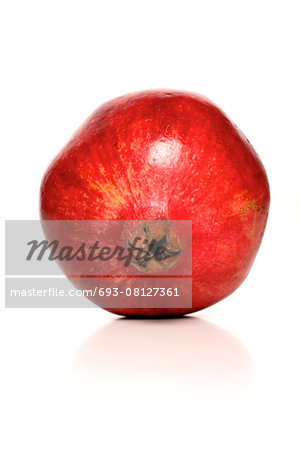 Studio shot of pomegranate fruit
