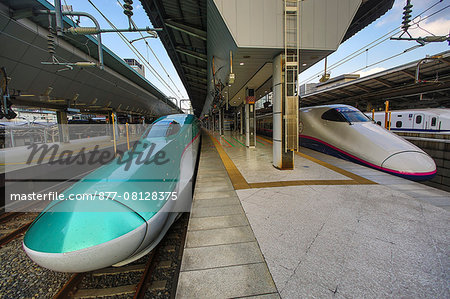 Japan, Tokyo City,Tokyo Station, the new Hayabusa Bullet Train