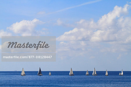 Spain, Canary islands. Fuerteventura. Regatta.