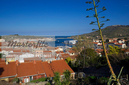 Europe, France, Languedoc Roussillon, Pyrenees Orientales, Port Vendres city and ports.