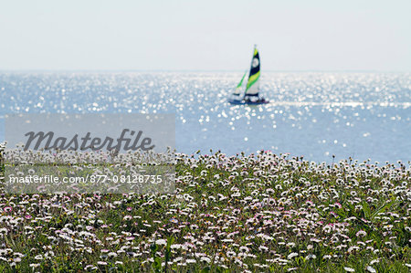 France, Western France, Bourgneuf bay, Moutiers-en-Retz, sailing ship