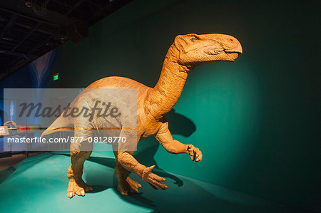 China,Animatronic Model of Iguanodon