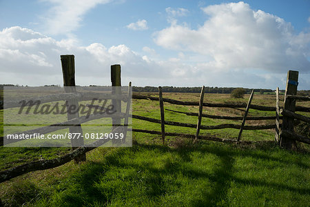 France, Western France, Charente-Maritime, Brouage, fence, fields