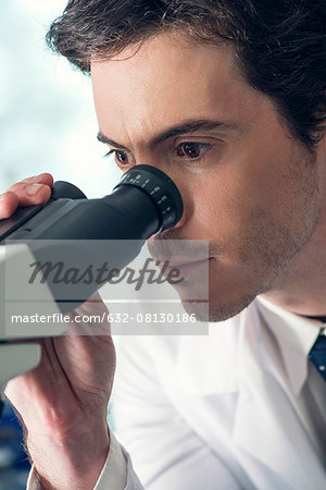 Scientist at work in laboratory