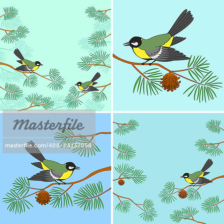 Set Backgrounds, Birds Titmouse Sitting on Pine Branches Against Sky. Vector