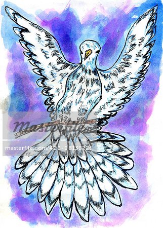 Grunge decorative sketch of a pigeon, dove, hand drawn illustration.