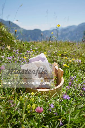 Bucket with Homeopathic Medicine in Flower Field, Strobl, Salzburger Land, Austria
