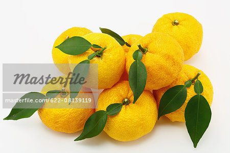 Yuzu