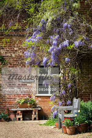 Flatford Mill, Flatford, Suffolk, England, United Kingdom Flatford Mill, Flatford, Suffolk, England, United Kingdom