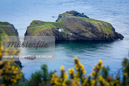 Carrick-A-Rede Rope Bridge from Portaneevey Cliffs, County Antrim, Northern Ireland, United Kingdom