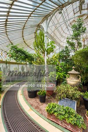 Palm House, Botanic Gardens, Queen's Quarter, Belfast, Northern Ireland, United Kingdom