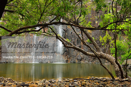 Waterfall, Cedar Creek Falls, Palm Grove, between Proserpine and Airlie Beach, Queensland, Australia