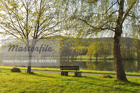 Trees and Riverside Path with Bench by River Main in Spring, Collenberg, Lower Franconia, Spessart, Miltenberg District, Bavaria, Germany