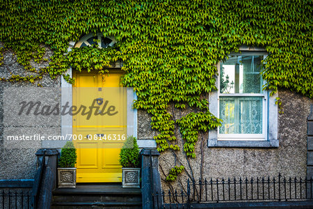 Close-up of ivy covered house with yellow door, Kilkenny, Ireland