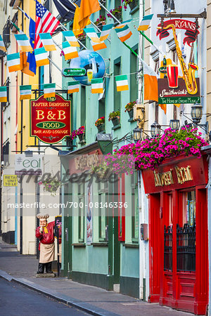 Close-up of buildings and flags along street, Kilkenny, County Kilkenny, Ireland