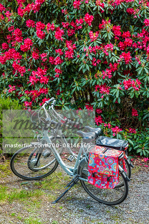 Close-up of parked bicycles, Killarney National Park, beside the town of Killarney, County Kerry, Ireland