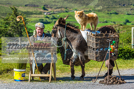 Shepherd sitting at the side of the road with donkey, near Glenbeigh along the Skellig Coast on the Ring of Kerry, County Kerry, Ireland