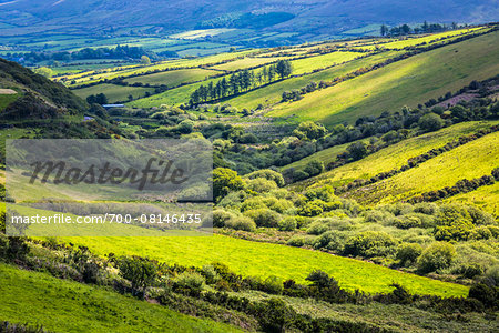 Scenic overview of farmland near Dingle, County Kerry, Ireland